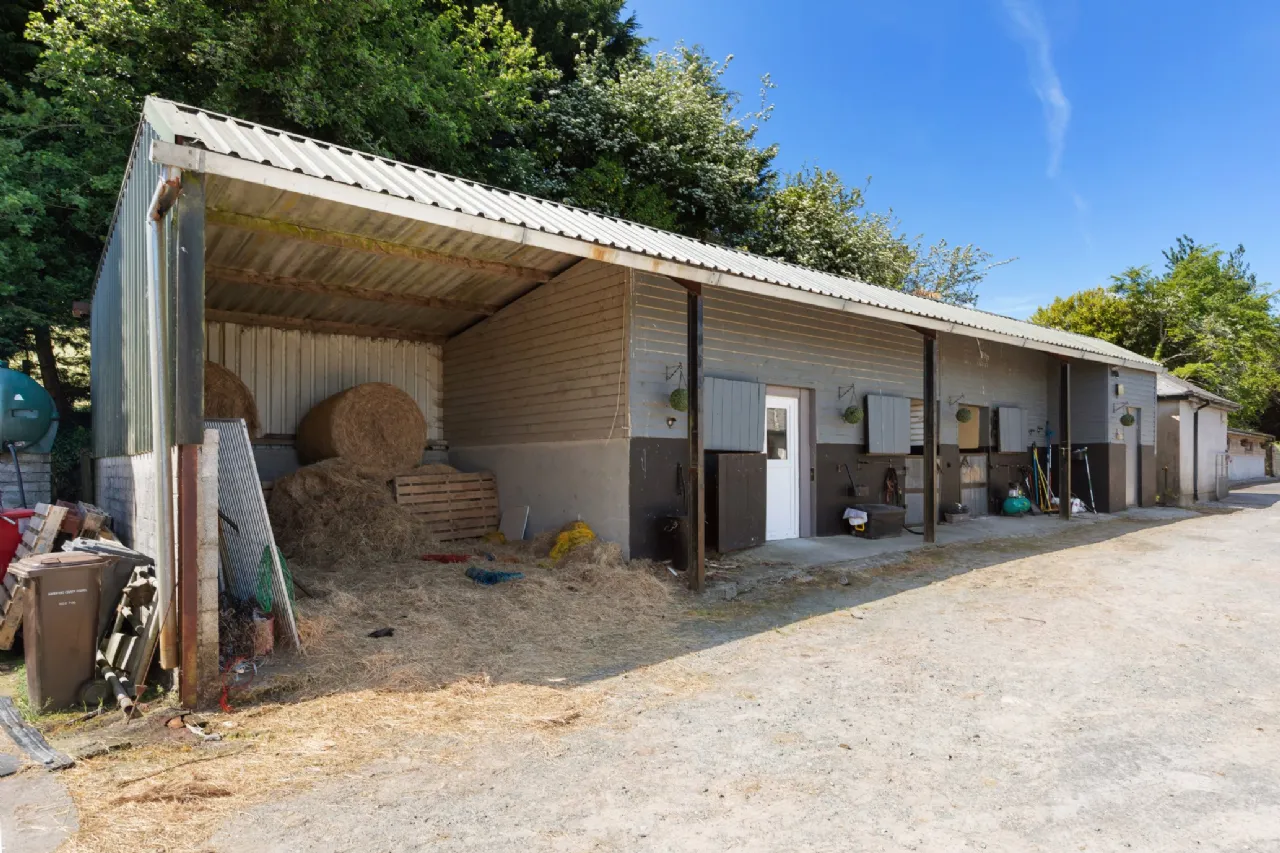 Photo of Hillside On C.15.91acres, Glenbeg, Dungarvan, County Waterford, X35 D732