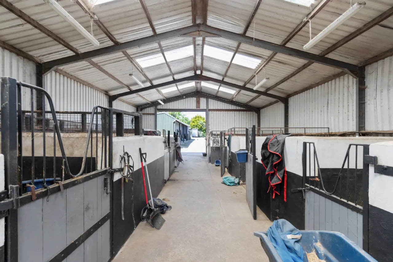 Photo of Hillside On C.15.91acres, Glenbeg, Dungarvan, County Waterford, X35 D732
