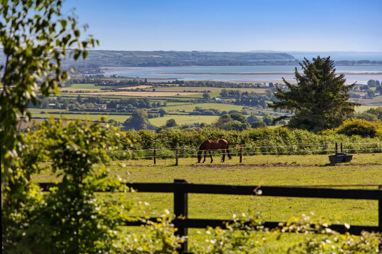 Photo of Hillside On C.15.91acres, Glenbeg, Dungarvan, County Waterford, X35 D732
