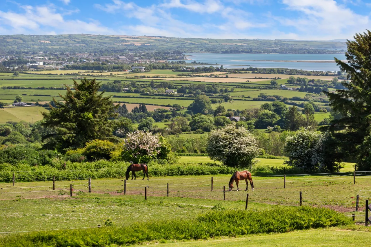 Photo of Hillside On C.15.91acres, Glenbeg, Dungarvan, County Waterford, X35 D732