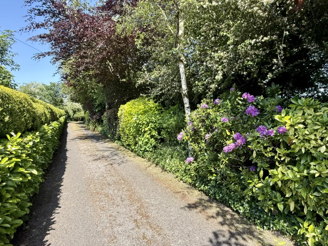 Photo of Shintilla, Milebush, Castlebar, Co. Mayo, F23 PC44