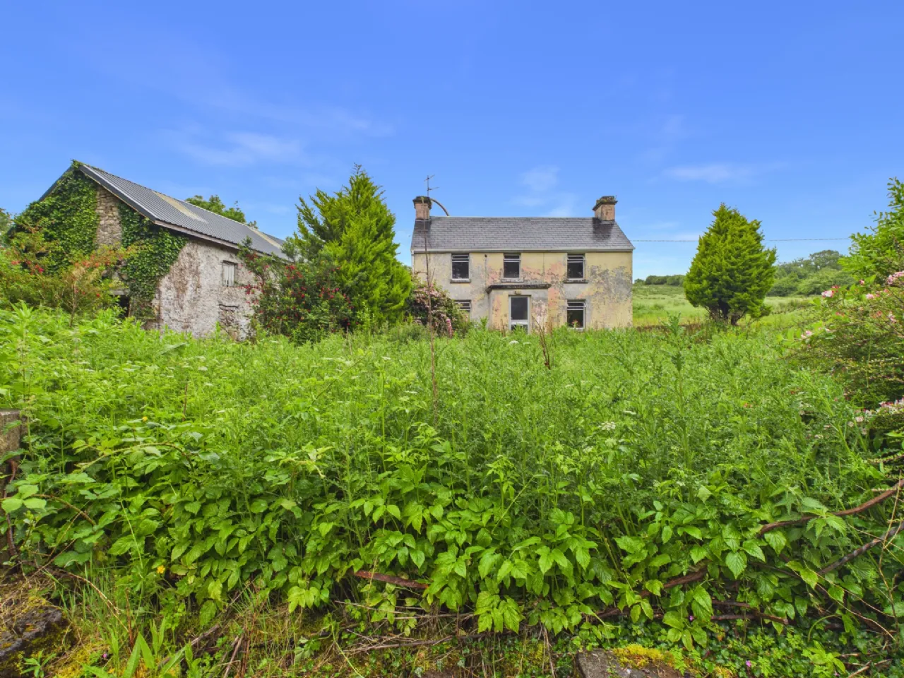 Photo of Srahaunananta, Kilnadeema, Loughrea, Co. Galway, H62 NW18