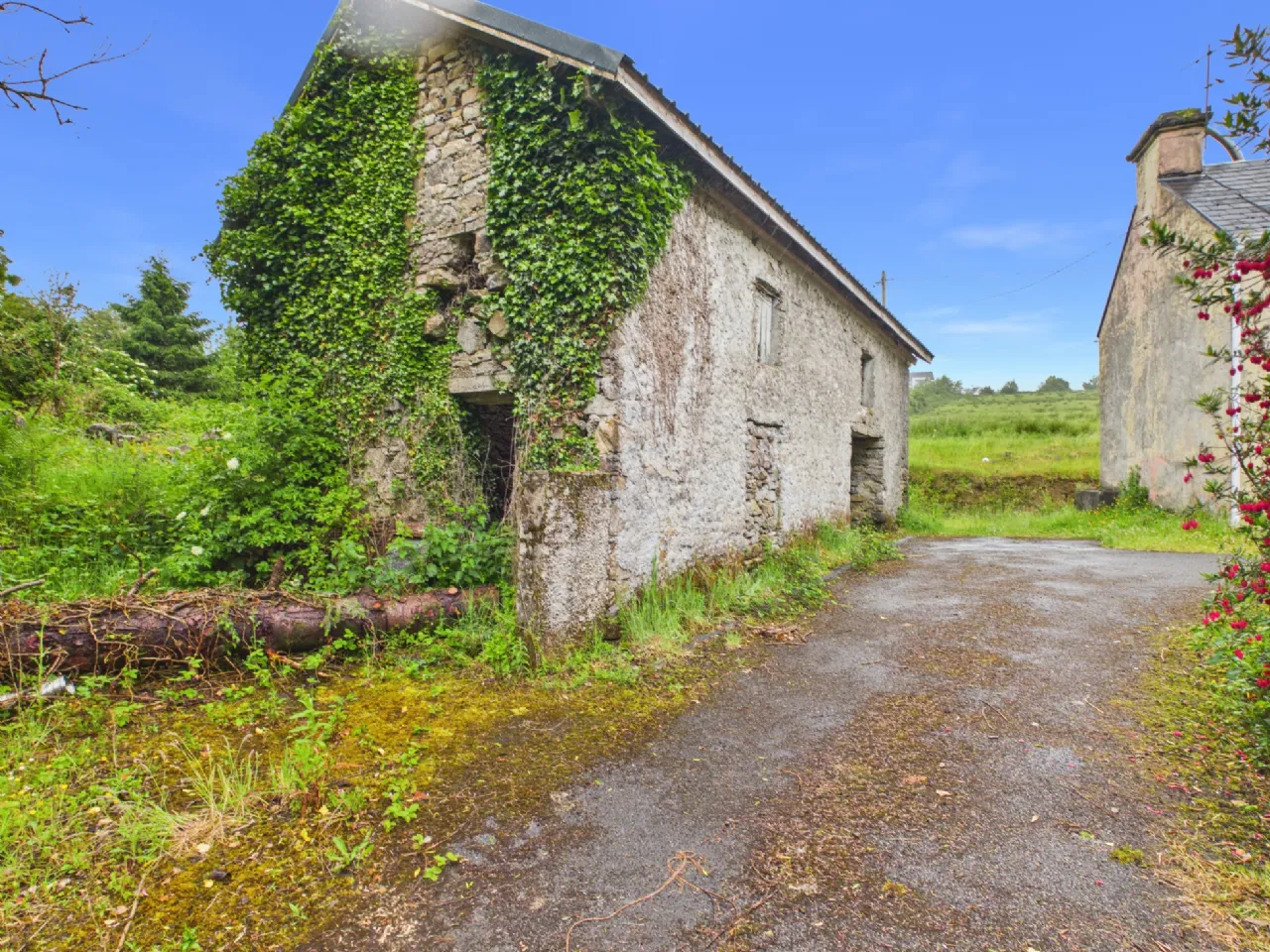 Photo of Srahaunananta, Kilnadeema, Loughrea, Co. Galway, H62 NW18