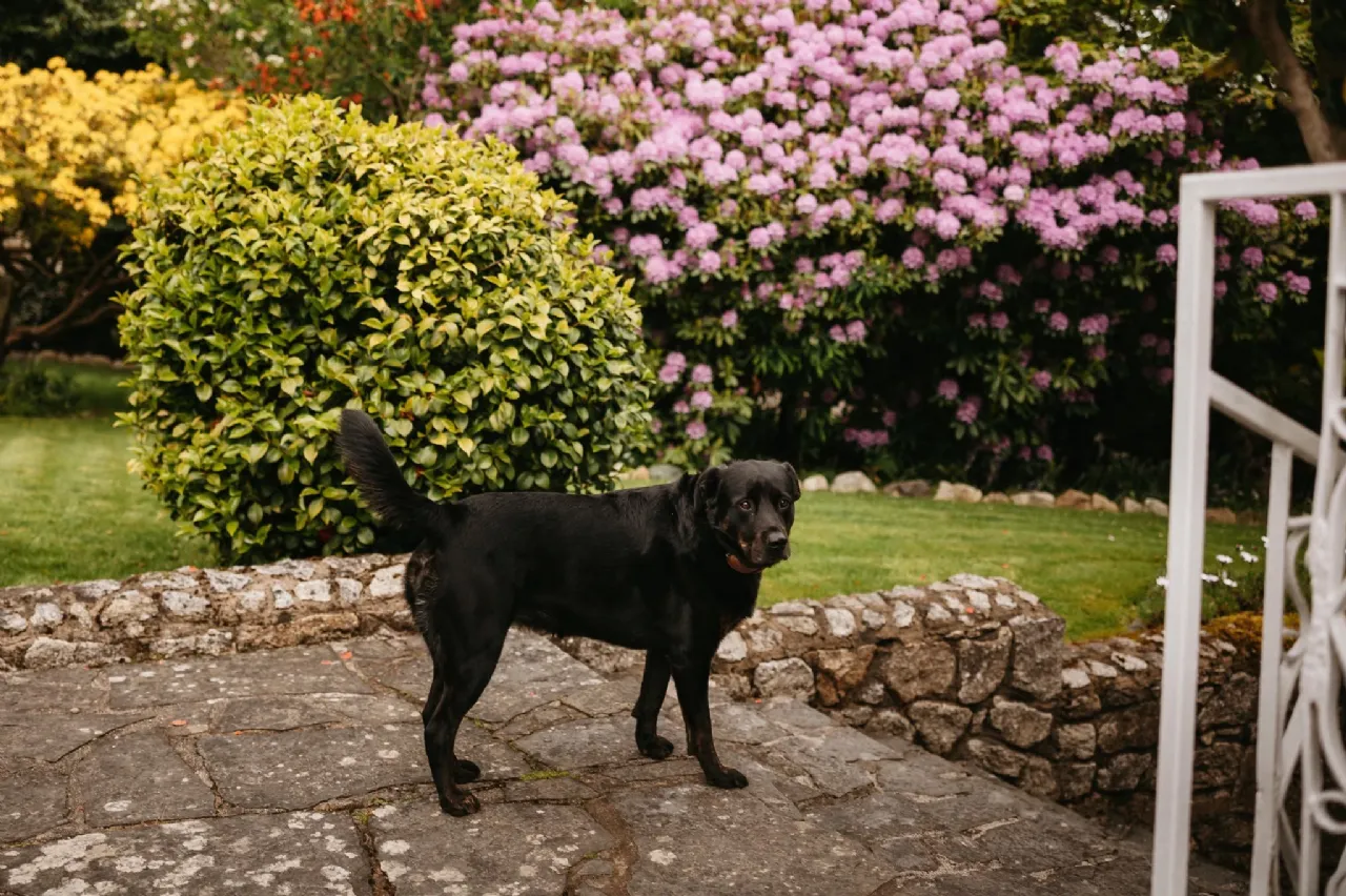 Photo of Glenair House, Priory Road, Delgany, Co. Wicklow, A63RX52