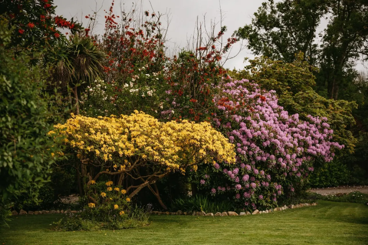 Photo of Glenair House, Priory Road, Delgany, Co. Wicklow, A63RX52