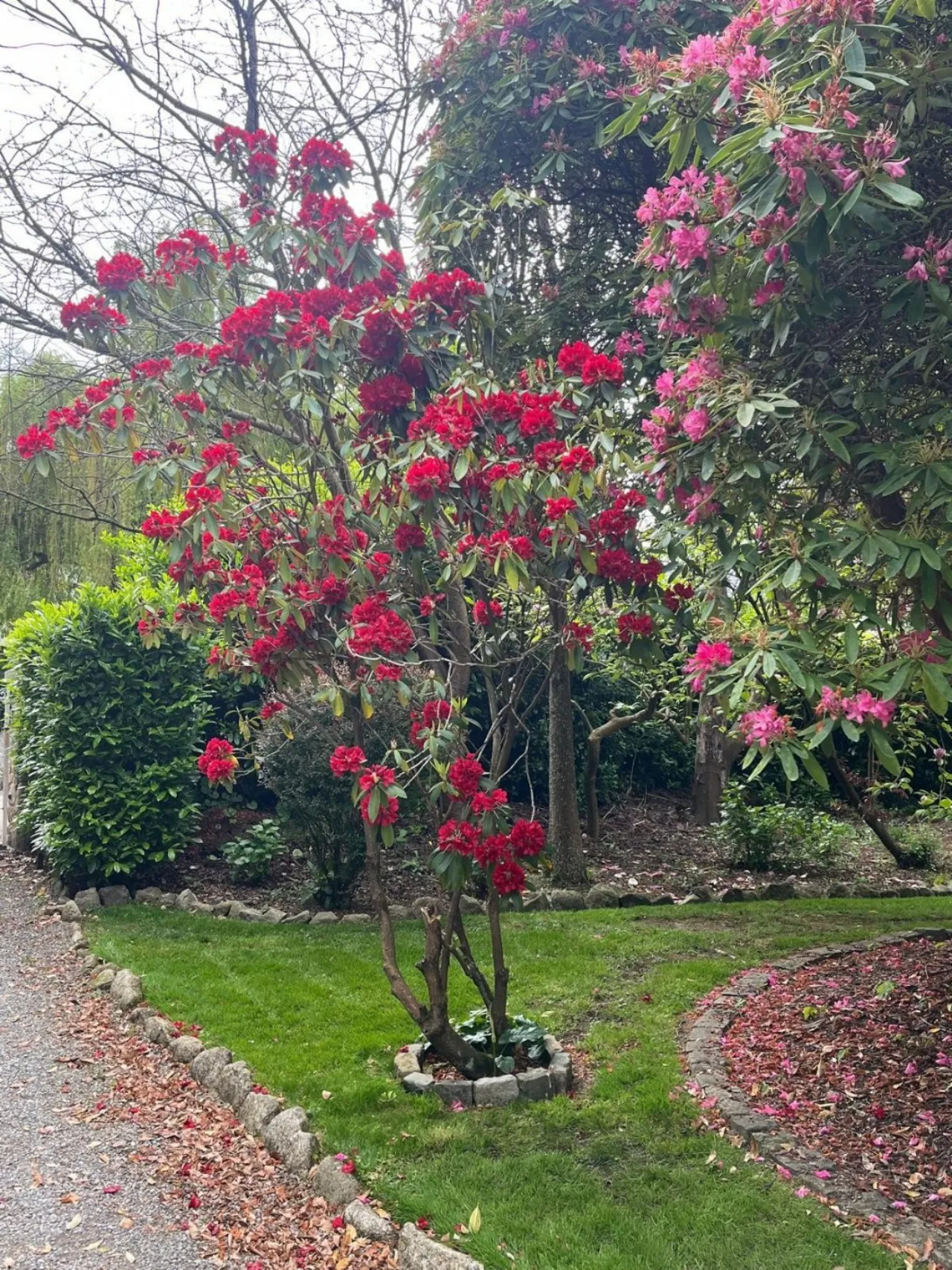Photo of Glenair House, Priory Road, Delgany, Co. Wicklow, A63RX52