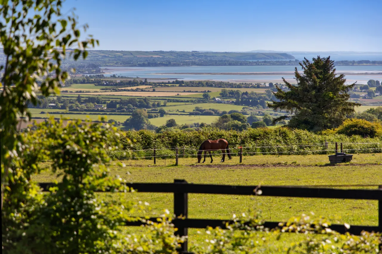 Photo of Hillside (15.91 Acres Aprx.), Glenbeg, Dungarvan, Co Waterford, X35 D732