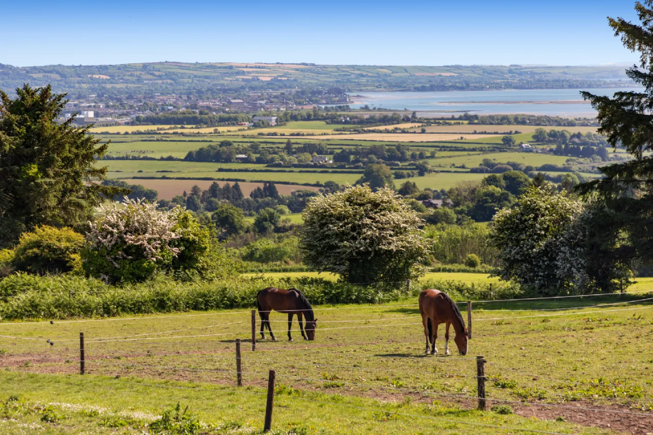 Photo of Hillside (15.91 Acres Aprx.), Glenbeg, Dungarvan, Co Waterford, X35 D732