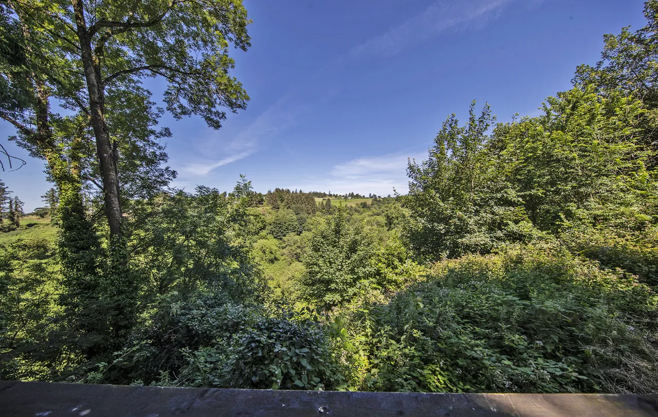 Photo of Clifton Cottage, Ballyduff Upper, Lismore, Co Waterford, P51D9W9
