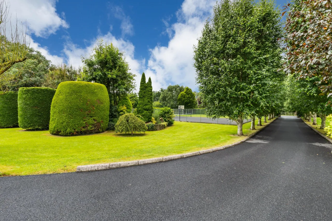 Photo of Tall Trees, Whitestown, Oldtown, Dublin, A45 N599