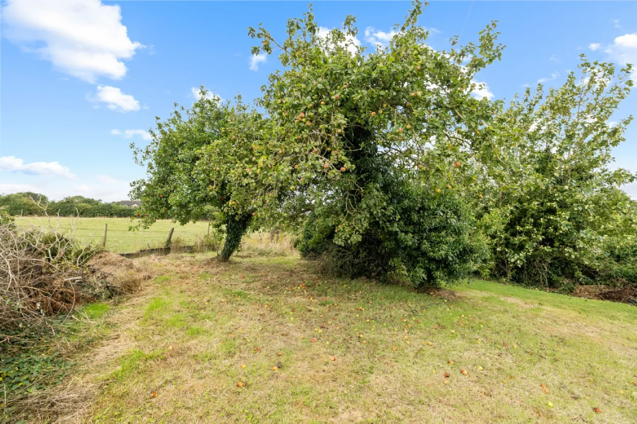 Photo of House, Yard & Gardens, Mullagh Lane, Dromiskin, Co. Louth, A91 HT67