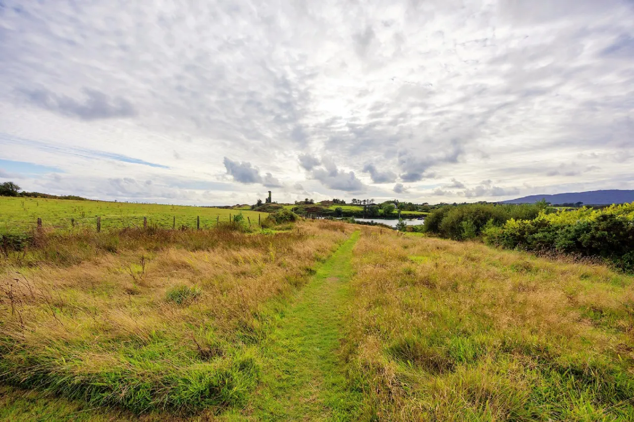 Photo of Rossbrin Cove, Cappaghglass, Schull, Co Cork, P81CP80