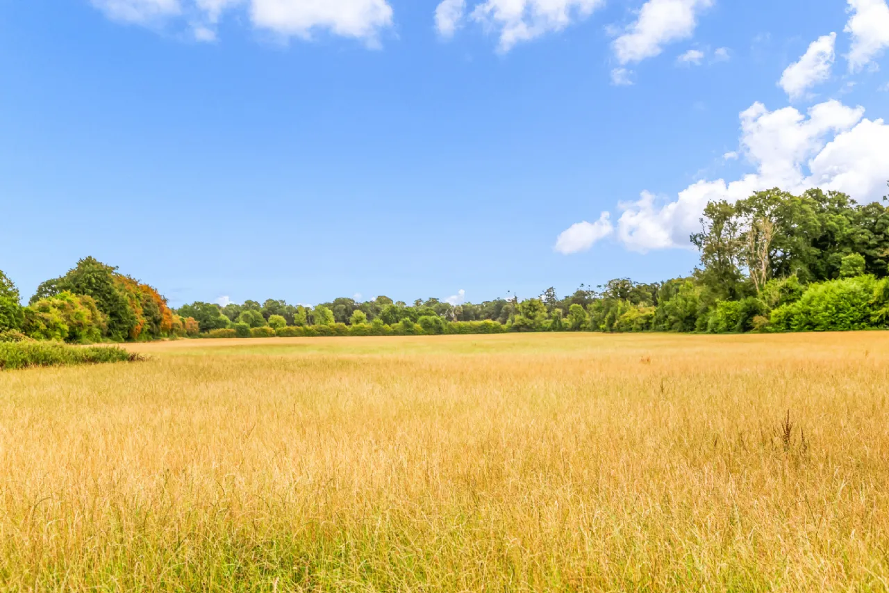 Photo of Lodge Park, Straffan, Co Kildare