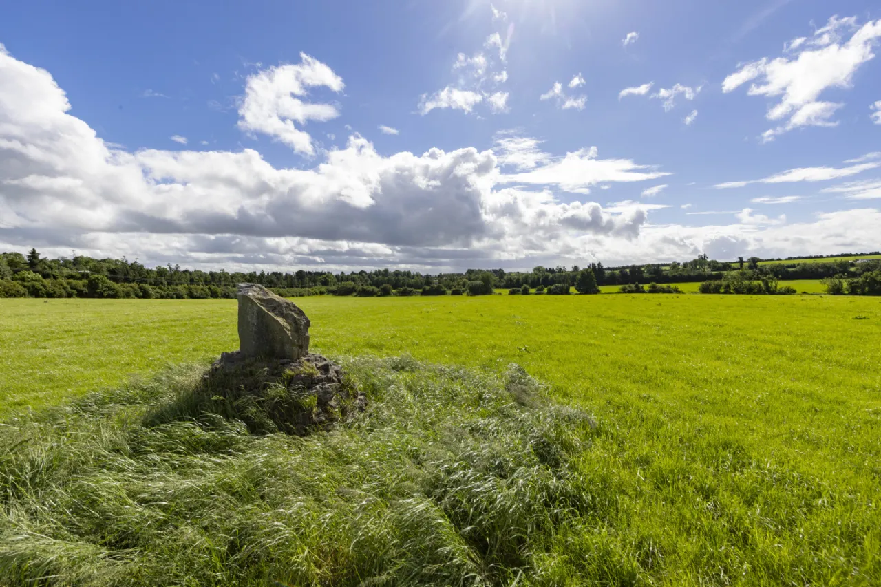 Photo of 27.5 Ha (68 Acres), Killineer, Drogheda, Co Louth, A92W2N7