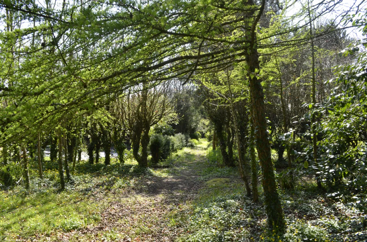 Photo of Carrigahilla House, Stradbally, Co Waterford, X42 A662