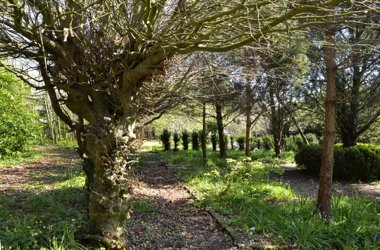 Photo of Carrigahilla House, Stradbally, Co Waterford, X42 A662