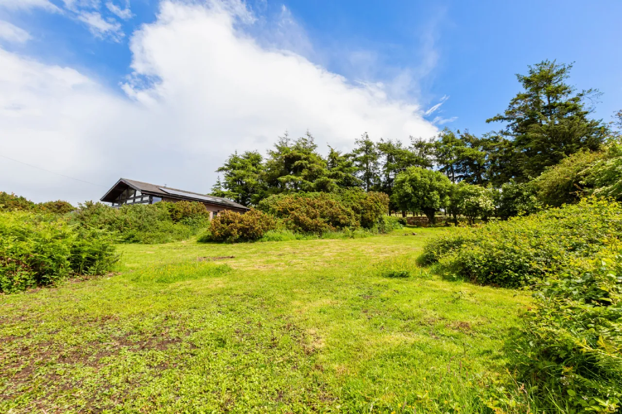 Photo of The Glasshouse, Sroughmore, Avoca, Co Wicklow, Y14 X659