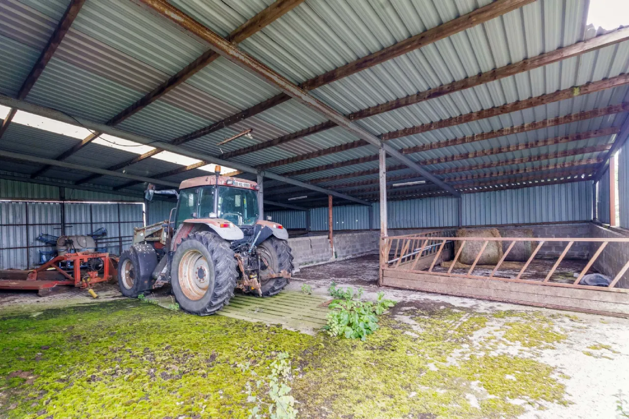 Photo of Residential Farm On Approx. 23.5 Ac, Royal Oak House, Moyvalley, Co. Kildare, W91 PV20