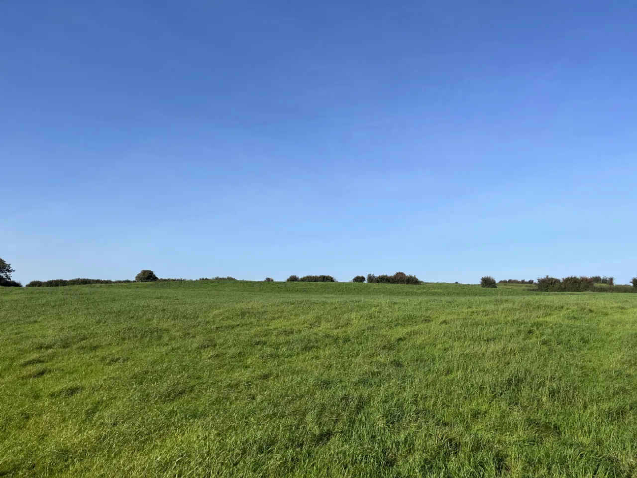 Photo of Graigueakilleen, Portumna, Co. Galway