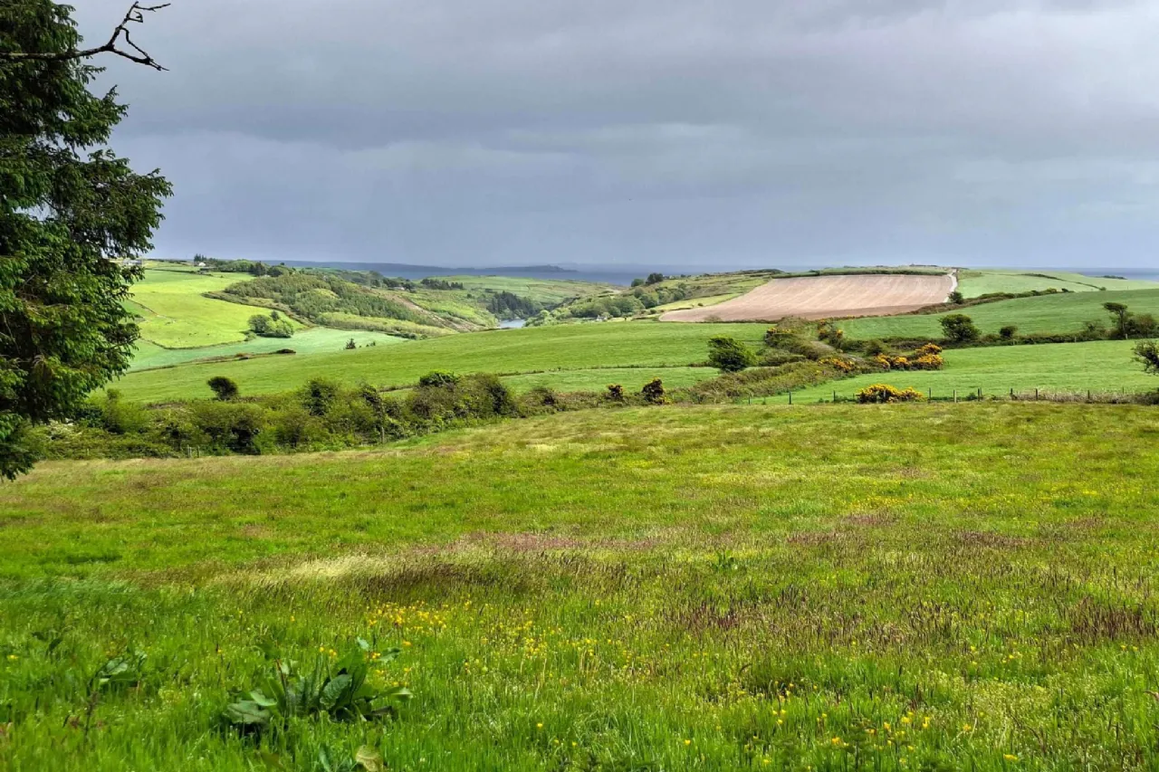 Photo of Ballyvireen, Rosscarbery, Co Cork, P85 XC65