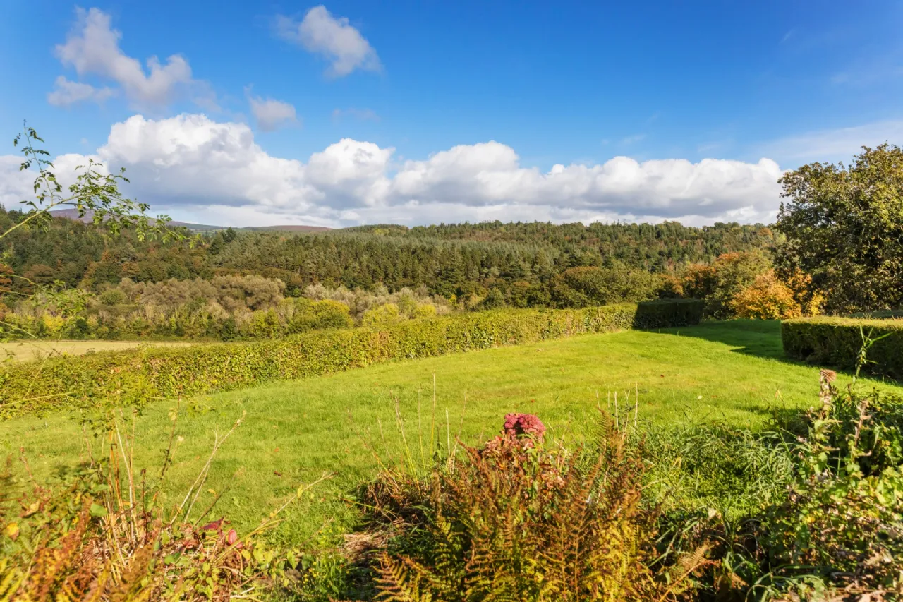 Photo of Dysertmore Estate, Inistioge, Co. Kilkenny, X91 E519